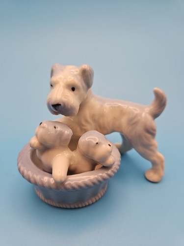 Vintage japanese terrier - japanese,