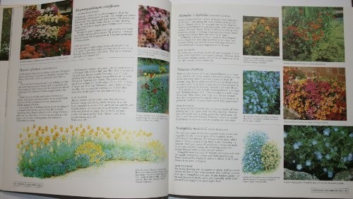 Garden for all seasons - garden,