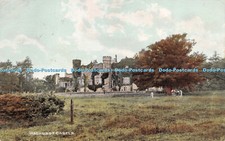 R276335 Wadhurst Castle Photo