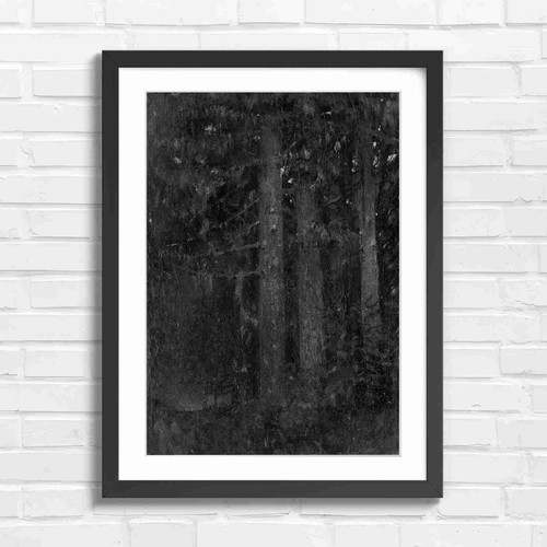 Dark forest tree trunks - forest,
