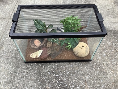 Gallon terrarium - terrarium, w/