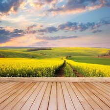 Non woven Wall Mural Photo