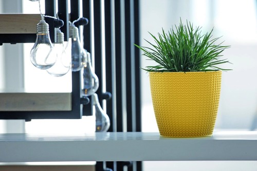 Plant pot decorative flower - decorative,