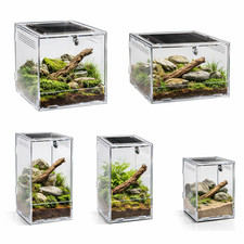 Repto Terra Clear Acrylic