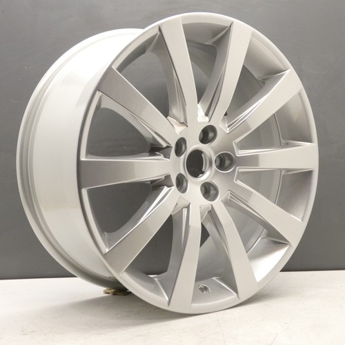 Jaguar carelia silver - jaguar, 19"