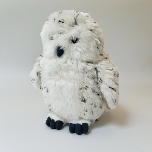 Living nature snowy owl bird - living,