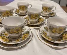 Royal Vale Bone China Tea Set