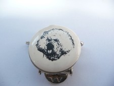 Bichon Frise Head Show Ring