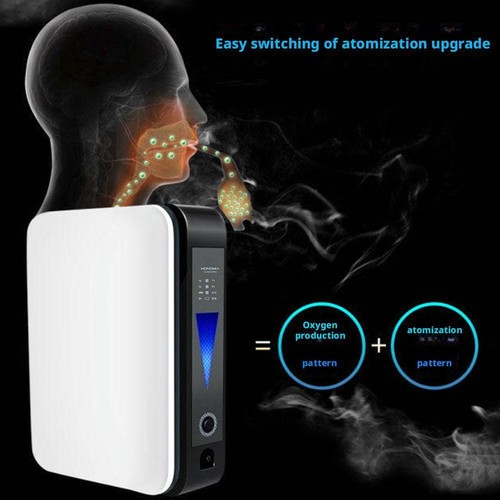 Min portable o2 - 1l/min,
