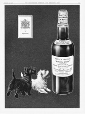 BLACK & WHITE SCOTCH WHISKY