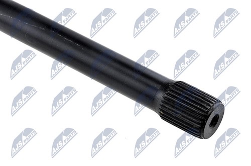 Fits nty zwt - fits, torsion