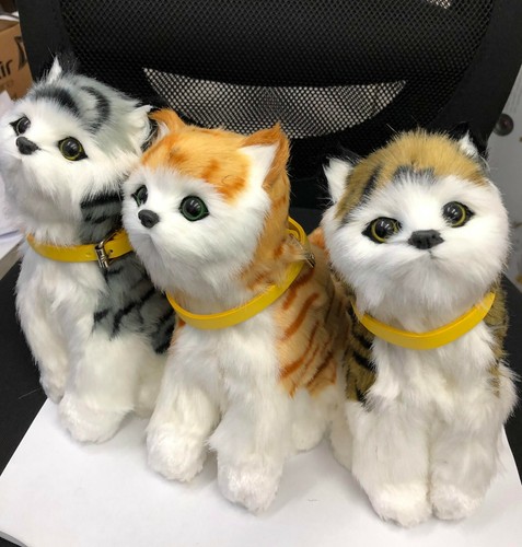 Cat toy gift top head - toy, &top