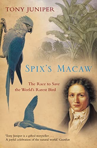 Spix macaw the race to - spix's, save