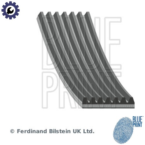 Vribbed belt ad07r1792 - belt,