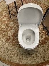 Back to Wall WC & Self Closing Seat White Soft Close