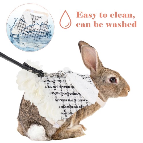 Pet rabbit clothes - pet,