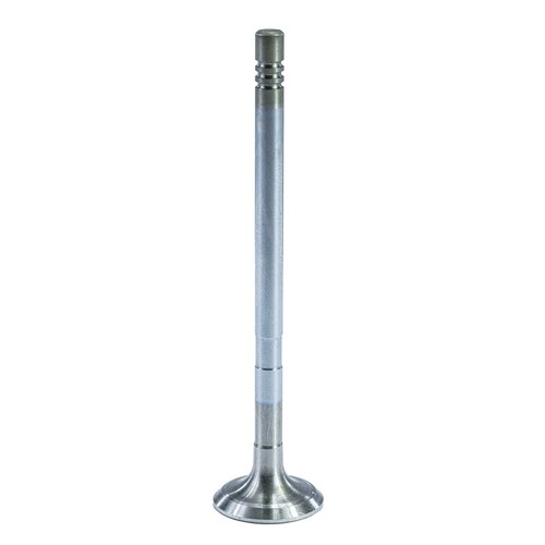 Exhaust valve for - valve,