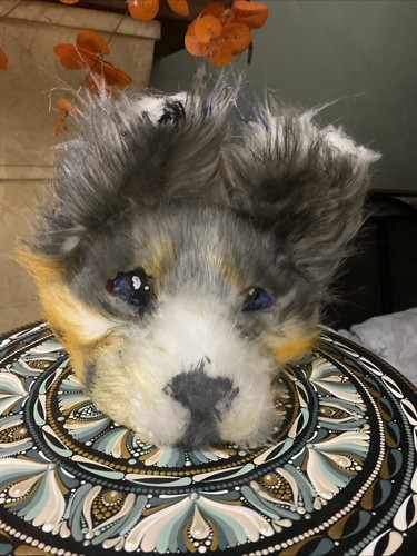 Cute australian shepherd mask - australian,