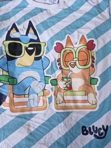 Bluey shirt aged yrs old - bluey,