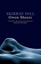 Skirrid Hill by Owen Sheers Paperback Book The Cheap Fast Free Post