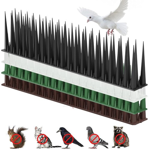 Bird spikes fences wall - bird,