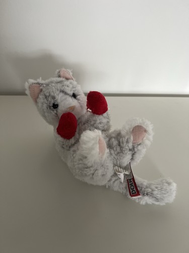 Douglas grey kitten - grey,