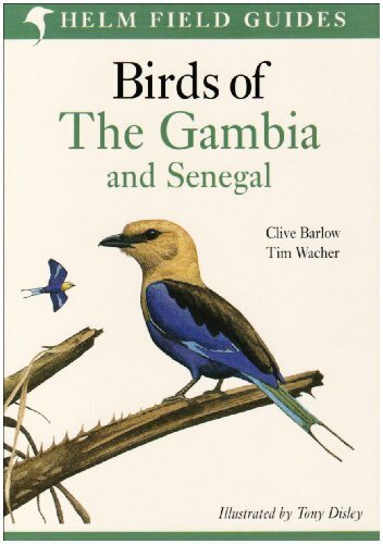 Birds the gambia - the,