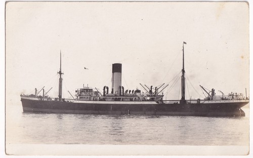 Machaon blue funnel line - blue,