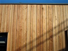 Siberian Larch cladding Tongue