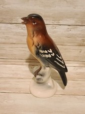 Hertwig katzhutte chaffinch - katzhutte,