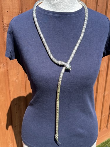 Vintage auld articulated - vintage,