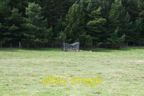 Photo 6x4 larsen - larsen, trap