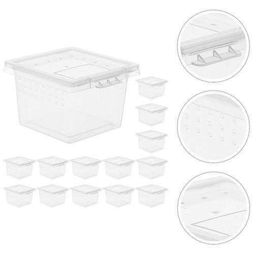 Pcs reptile feeding - feeding, box