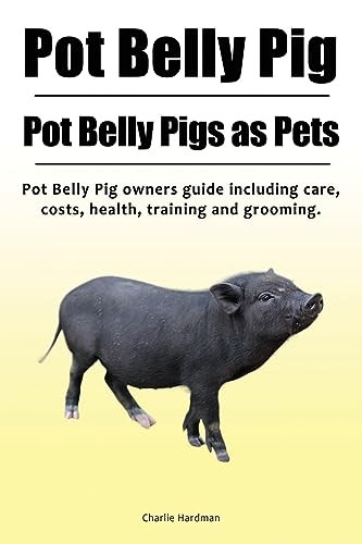 Pot belly pig - pot, pig.