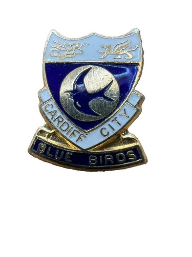 Cardiff city football club - city,