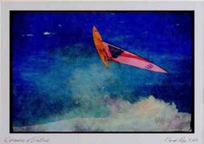 Sailing 339074 O'Neill Cup