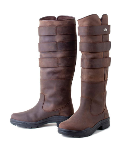 Rhinegold elite colorado - rhinegold,
