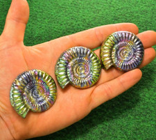 Bismuth Ammonite Crystal