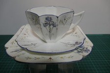 Shelley Trio in the Blue Iris