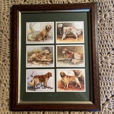 FRAMED SET OF SIX GOLDEN RETRIEVERS CIGARETTE CARDS 