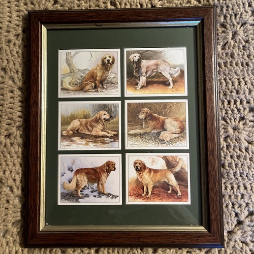 Framed set six golden - framed,