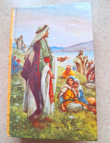 Collins the holy bible - collins,
