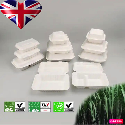 White bagasse food - bagasse,