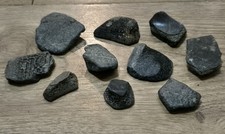 10 x Turtle Shell Fossil Beach