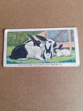 No.4 Dutch & English Rabbits - Home Pets by Godfrey Phillips 1924