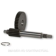 Development Primary Htq 15-38