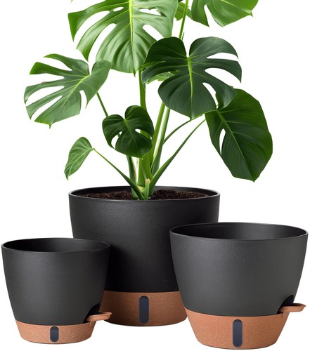 Inch self watering - self,