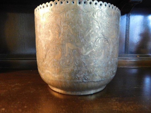 Indian brass plant - a, pot