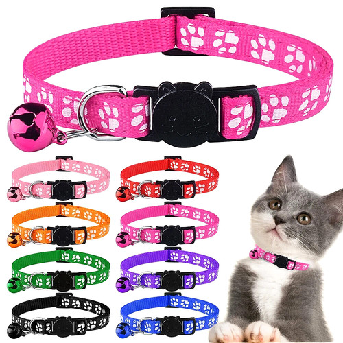 Buckle cat kitten collar - cat,