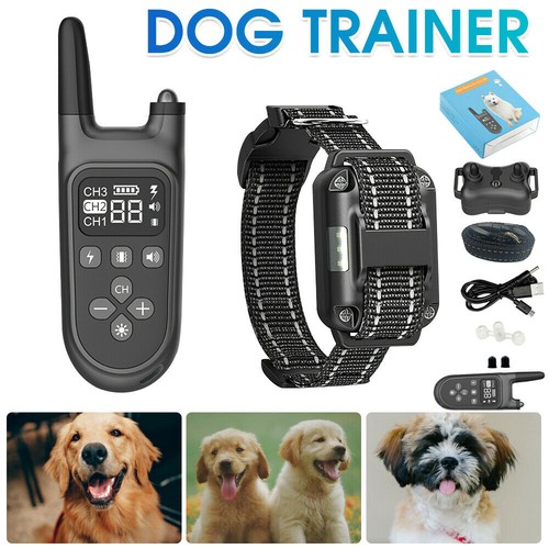 Electric pet dog training - pet,